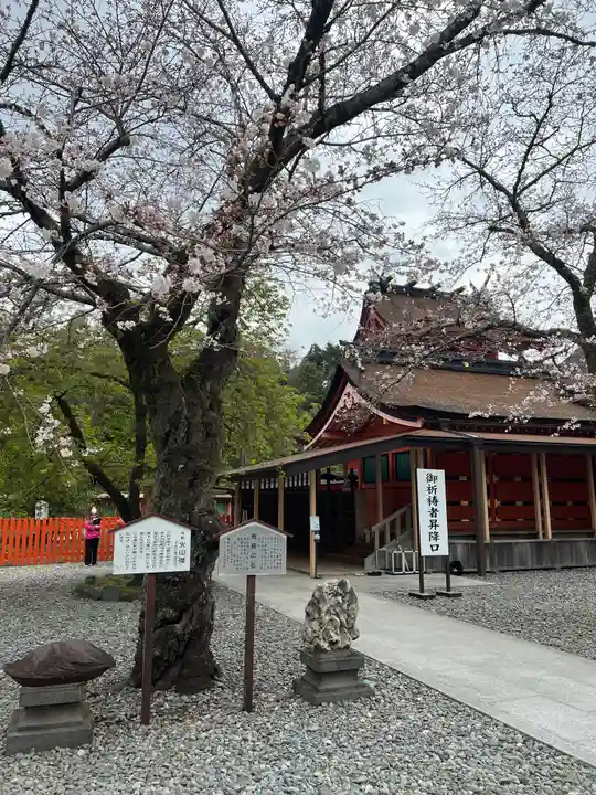 富士山本宮浅間大社(静岡県)