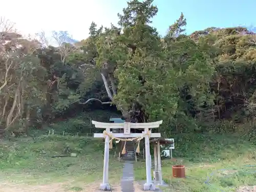 十二天神社の鳥居