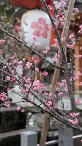 長岡天満宮の自然