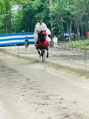 賀茂別雷神社（上賀茂神社）(京都府)