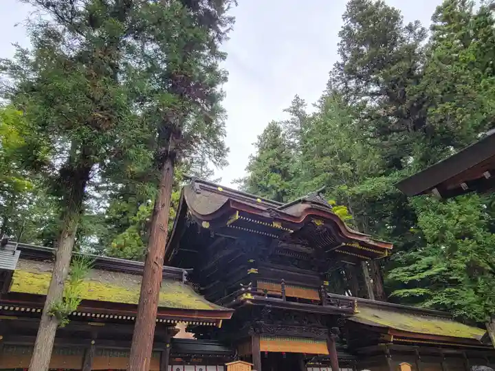 諏訪大社下社春宮の本殿・本堂