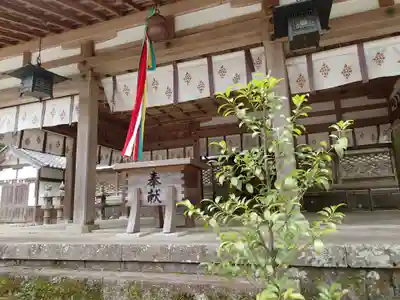 御井神社の本殿・本堂