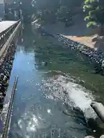 鑁阿寺(栃木県)