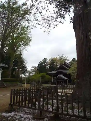 弘経寺のその他建物