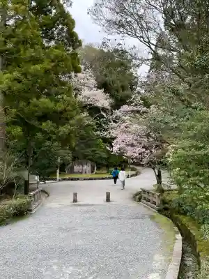 伊勢神宮内宮（皇大神宮）の{uncategorized: "未分類", other: "その他", undefined: "問題あり", building: "その他建物", grave: "お墓", sacred_gate: "鳥居", guardian: "狛犬", statue: "像", buddha: "仏像", history: "歴史", nature: "自然", garden: "庭園", animal: "動物", pagoda: "塔", temizu: "手水舎", mountain_gate: "山門・神門", sanctuary: "本殿・本堂", subordinate: "末社・摂社", art: "芸術", scenery: "景色", jizo: "地蔵", ema: "絵馬", goshuin: "御朱印", omikuji: "おみくじ", items: "授与品その他", amulet: "お守り", goshuincho: "御朱印帳", eats: "食事", festival: "お祭り", votive_dance: "神楽", shichigosan: "七五三参", wedding: "結婚式", experience: "体験その他", initially: "初詣", around: "周辺", anti_infection: "感染症対策"}