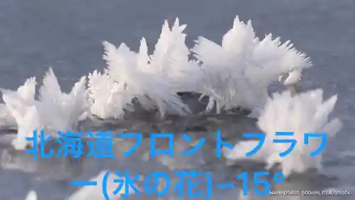 居木神社(東京都)