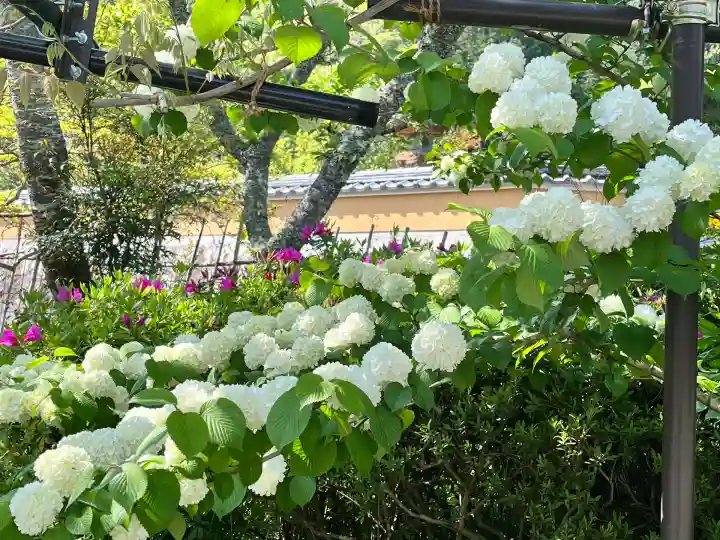 天台宗 五大山 白毫寺(兵庫県)