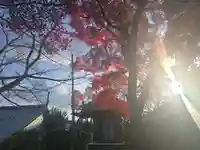 西教寺(滋賀県)