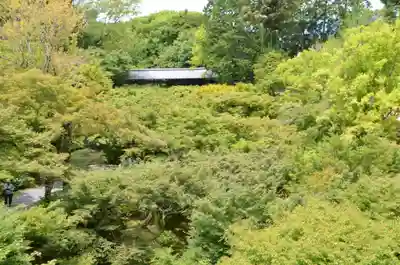 東福禅寺(東福寺)(京都府)