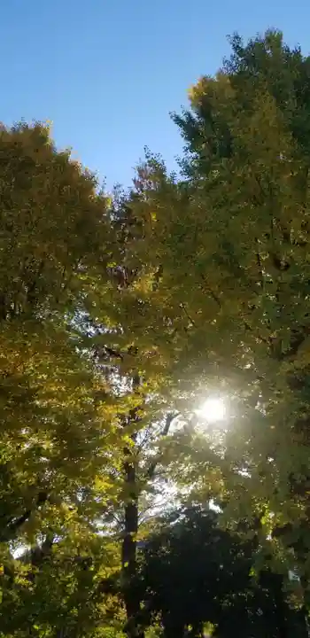 穏田神社の自然