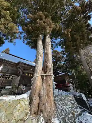 高司神社〜むすびの神の鎮まる社〜(福島県)
