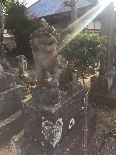 将門神社の狛犬