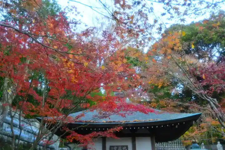 長谷寺(神奈川県)