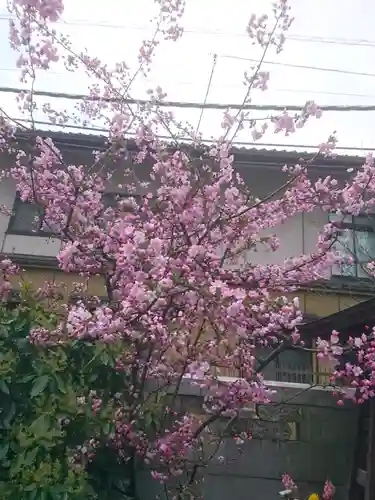 正伝寺の庭園