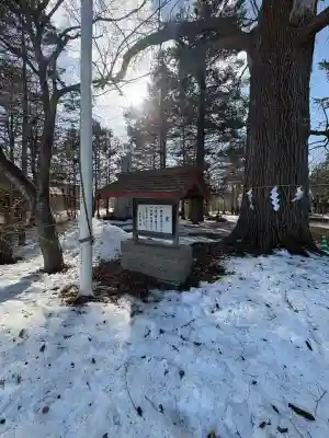 音更神社の{uncategorized: "未分類", other: "その他", undefined: "問題あり", building: "その他建物", grave: "お墓", sacred_gate: "鳥居", guardian: "狛犬", statue: "像", buddha: "仏像", history: "歴史", nature: "自然", garden: "庭園", animal: "動物", pagoda: "塔", temizu: "手水舎", mountain_gate: "山門・神門", sanctuary: "本殿・本堂", subordinate: "末社・摂社", art: "芸術", scenery: "景色", jizo: "地蔵", ema: "絵馬", goshuin: "御朱印", omikuji: "おみくじ", items: "授与品その他", amulet: "お守り", goshuincho: "御朱印帳", eats: "食事", festival: "お祭り", votive_dance: "神楽", shichigosan: "七五三参", wedding: "結婚式", experience: "体験その他", initially: "初詣", around: "周辺", anti_infection: "感染症対策"}