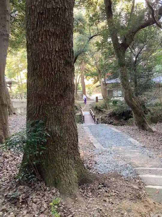 高龗神社(兵庫県)