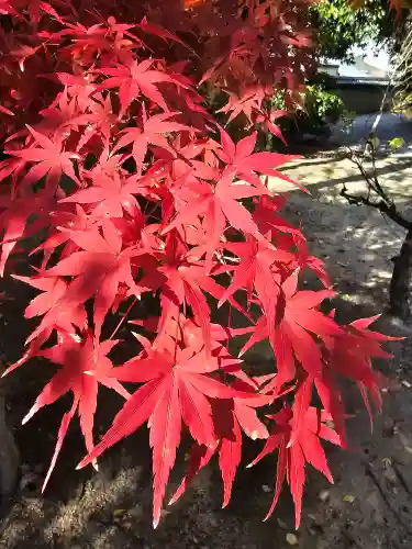 蓮華王院（三十三間堂）(京都府)