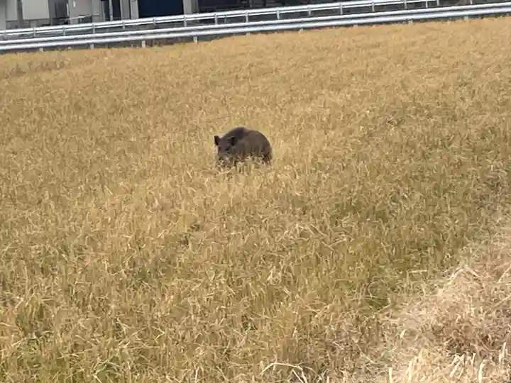意賀美神社(大阪府)