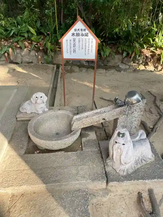 弓弦羽神社(兵庫県)