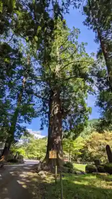 明建神社(岐阜県)