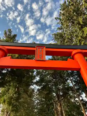 亀岡八幡宮(栃木県)