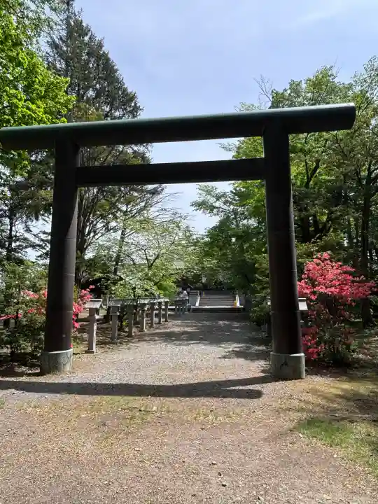 信濃神社の{uncategorized: "未分類", other: "その他", undefined: "問題あり", building: "その他建物", grave: "お墓", sacred_gate: "鳥居", guardian: "狛犬", statue: "像", buddha: "仏像", history: "歴史", nature: "自然", garden: "庭園", animal: "動物", pagoda: "塔", temizu: "手水舎", mountain_gate: "山門・神門", sanctuary: "本殿・本堂", subordinate: "末社・摂社", art: "芸術", scenery: "景色", jizo: "地蔵", ema: "絵馬", goshuin: "御朱印", omikuji: "おみくじ", items: "授与品その他", amulet: "お守り", goshuincho: "御朱印帳", eats: "食事", festival: "お祭り", votive_dance: "神楽", shichigosan: "七五三参", wedding: "結婚式", experience: "体験その他", initially: "初詣", around: "周辺", anti_infection: "感染症対策"}