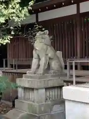 乃木神社の狛犬