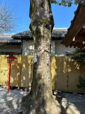 蛇窪神社(東京都)