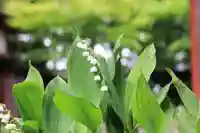 大鏑矢神社の庭園