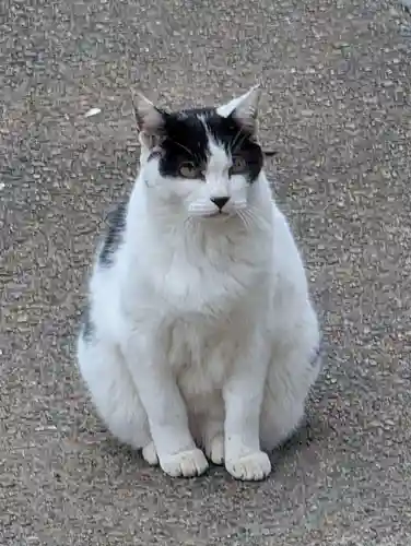 鎌数伊勢大神宮(千葉県)