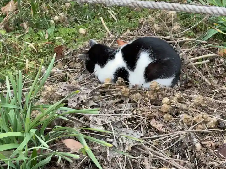 浄瑠璃寺(京都府)