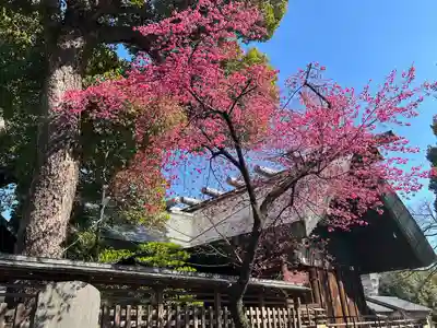 所澤神明社(埼玉県)