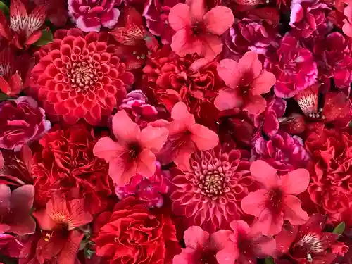 野見神社(大阪府)