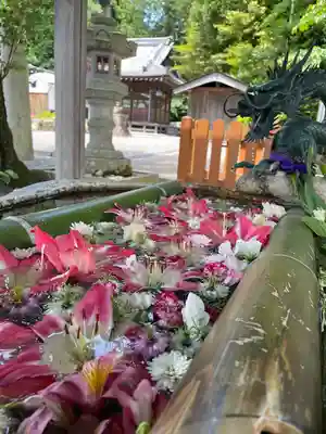 立志神社の手水舎