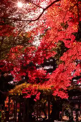 賀茂別雷神社（上賀茂神社）(京都府)