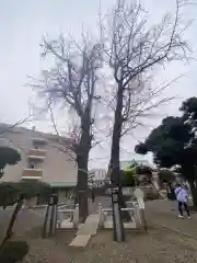 千住神社(東京都)