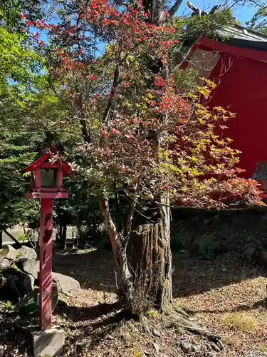 赤城神社(群馬県)