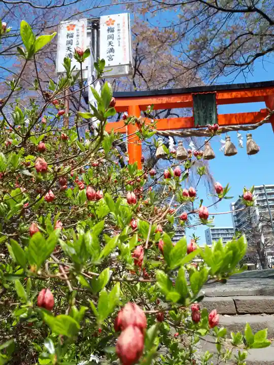 榴岡天満宮の自然