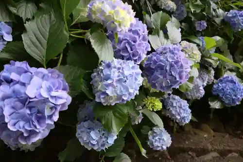 太平山神社(栃木県)