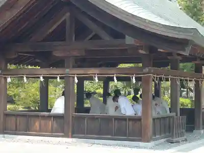 宗像大社(福岡県)