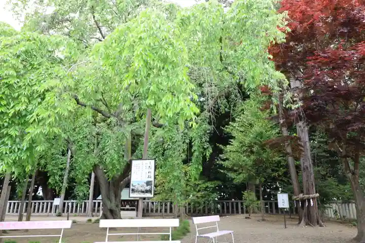 常陸第三宮 吉田神社(茨城県)