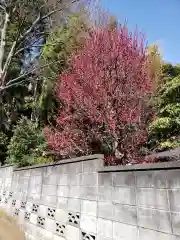 胡録神社の建物その他