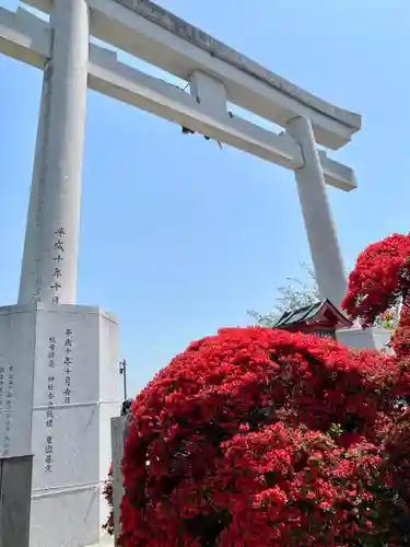 長岡天満宮の鳥居