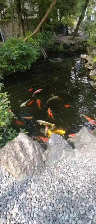 猿田彦神社(三重県)