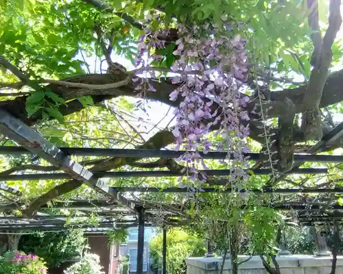 延命寺(愛知県)