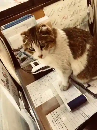 瑞巌寺(宮城県)