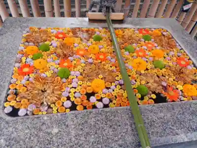 高円寺氷川神社の手水舎