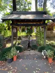 馬場氷川神社の手水