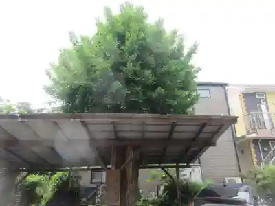 天満宮(神奈川県)