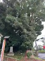 清水神社(宮崎県)